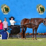 HOT IRONS TONIGHT - Out Of Sunny Tonight